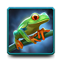 Frog Frog
