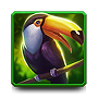 Toucan Toucan